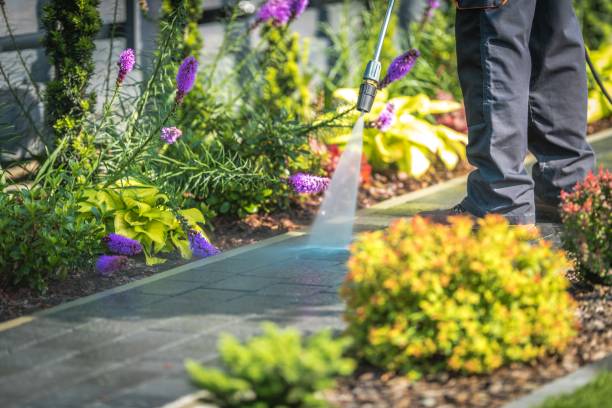 Best Soft Washing  in Crest View Heights, NY