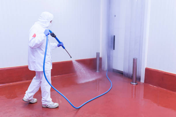 Best Warehouse Cleaning  in Crest View Heights, NY
