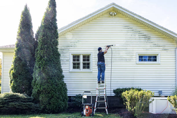 Best Solar Panel Cleaning  in Crest View Heights, NY